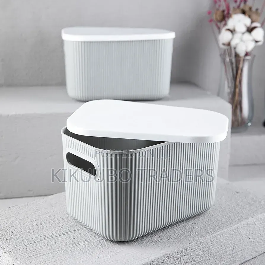 Storage Box With Grey Lid