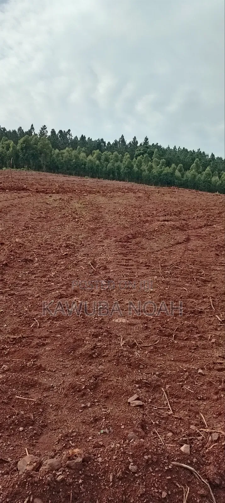 Land on Sale With Ready Land Title