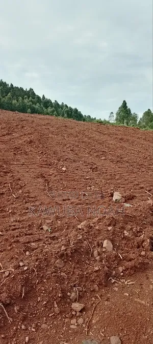 Land on Sale With Ready Land Title