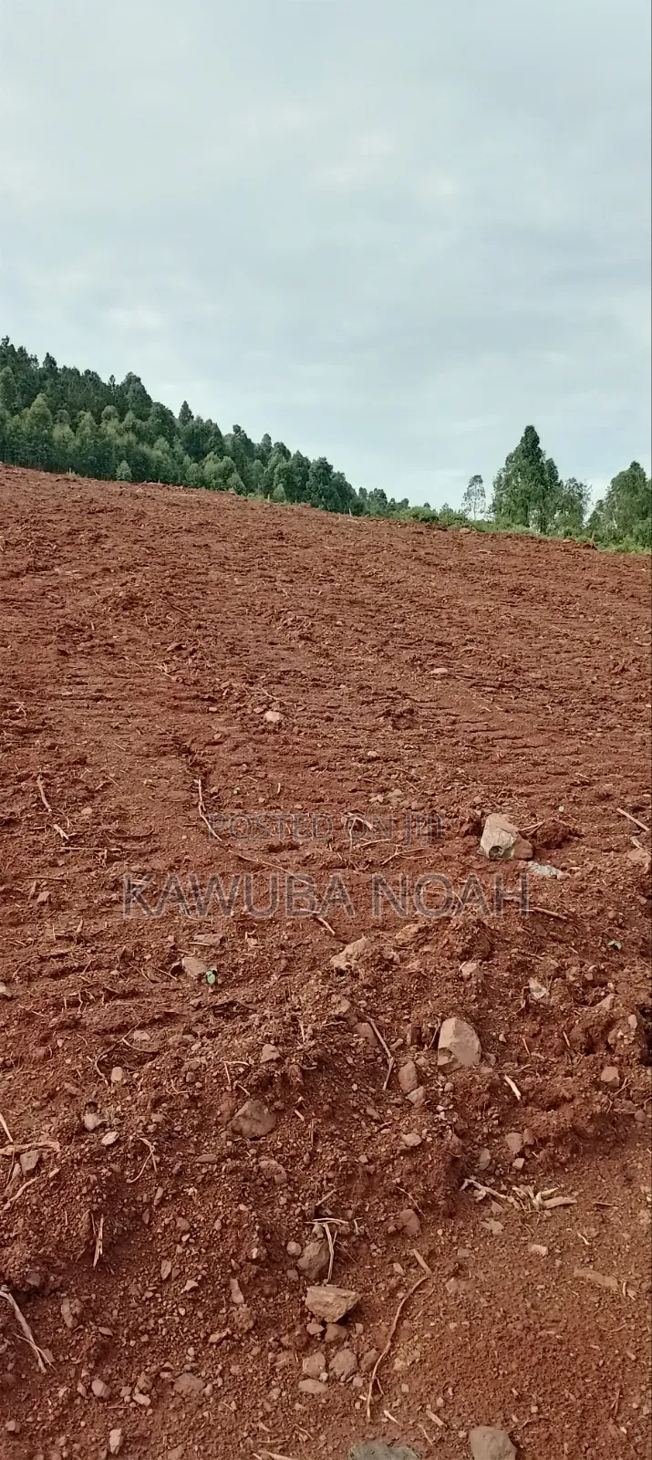 Land on Sale With Ready Land Title