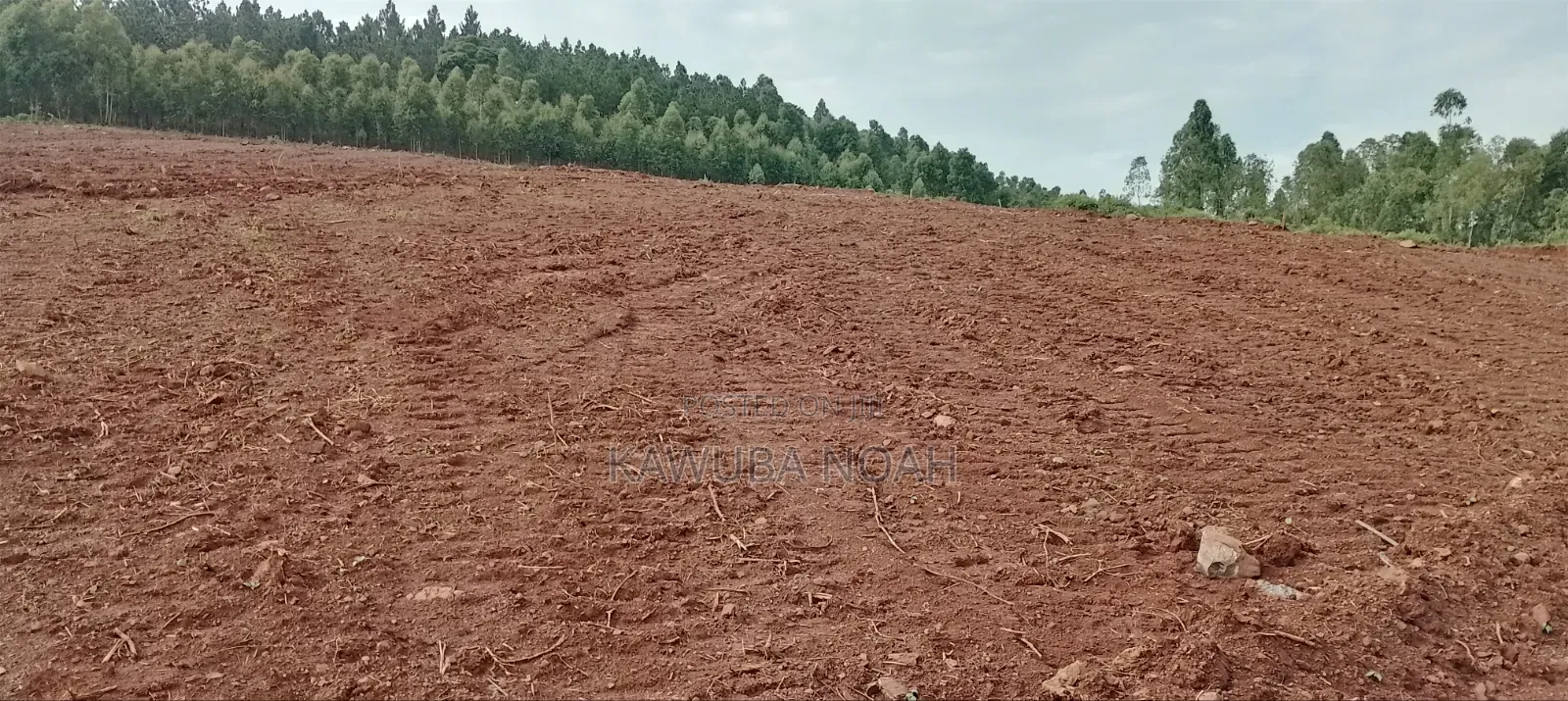 Land on Sale With Ready Land Title