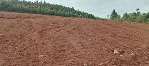 Land on Sale With Ready Land Title