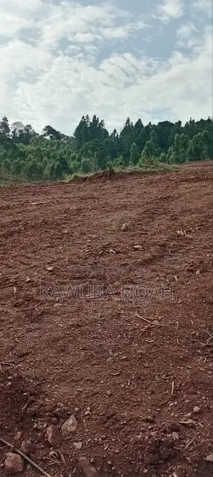 Land on Sale With Ready Land Title