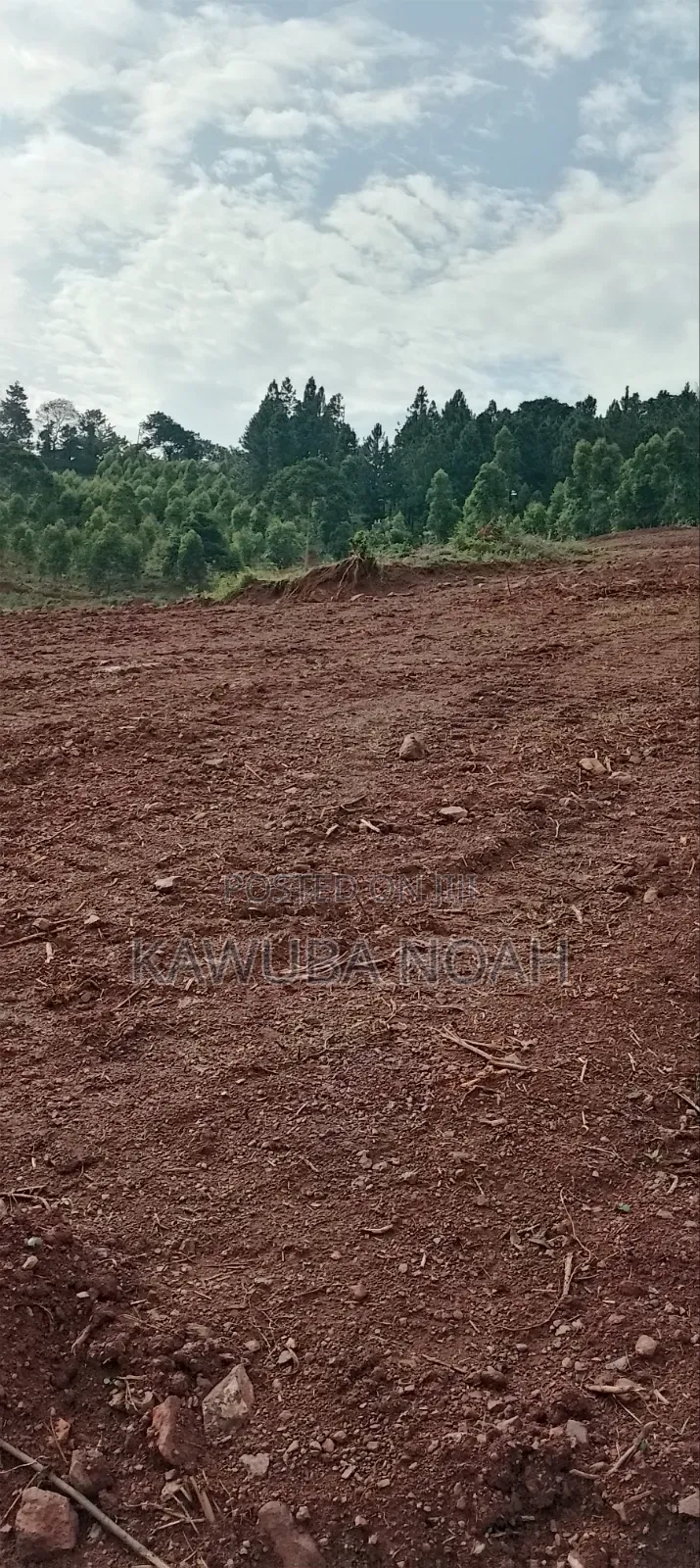 Land on Sale With Ready Land Title