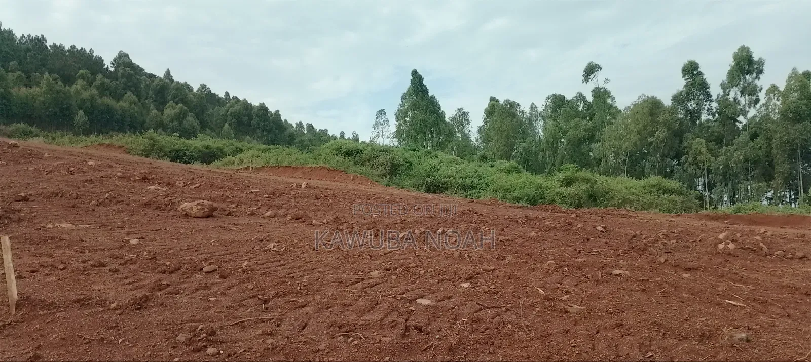 Land on Sale With Ready Land Title