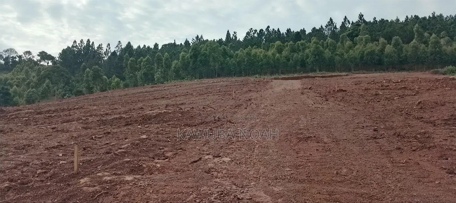 Land on Sale With Ready Land Title