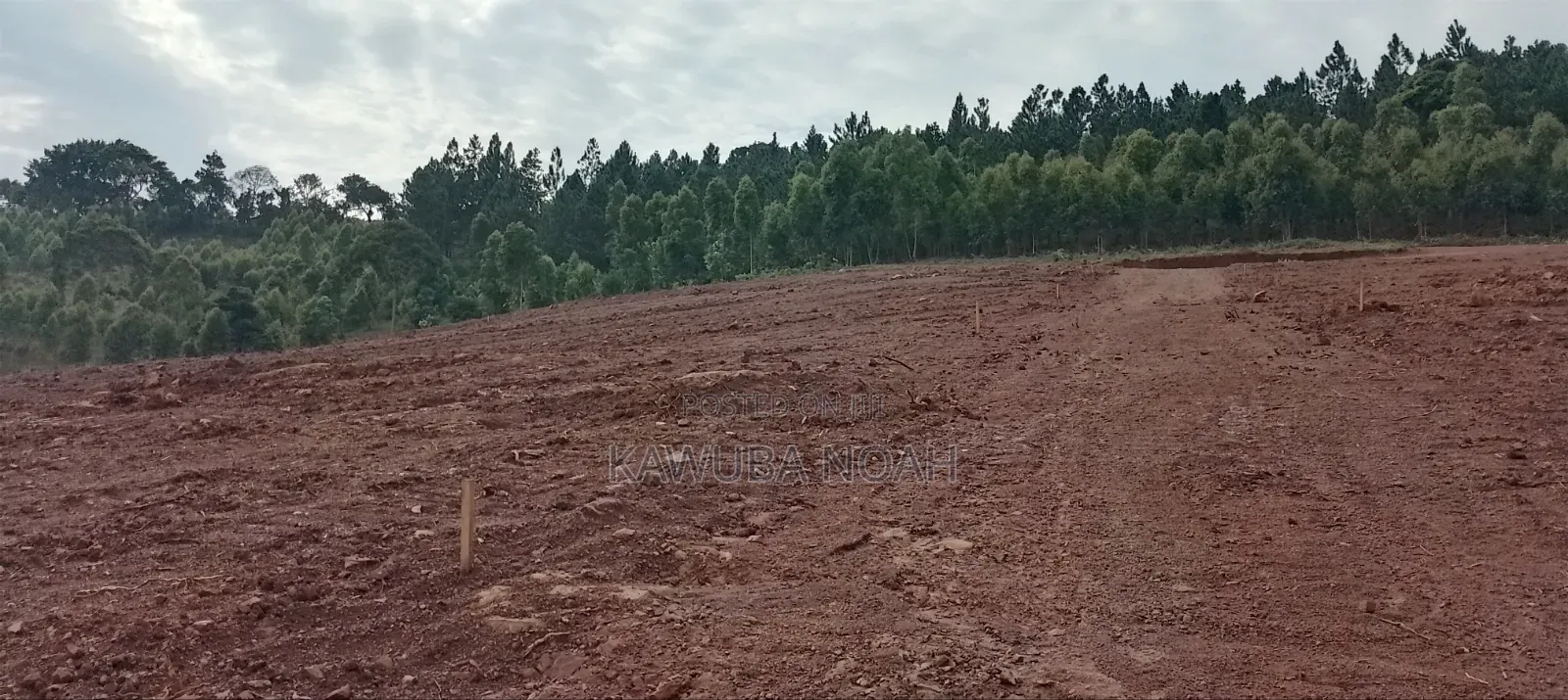 Land on Sale With Ready Land Title