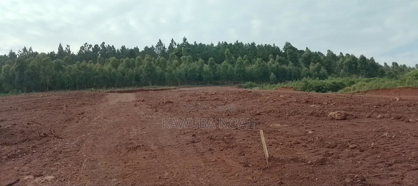 Land on Sale With Ready Land Title