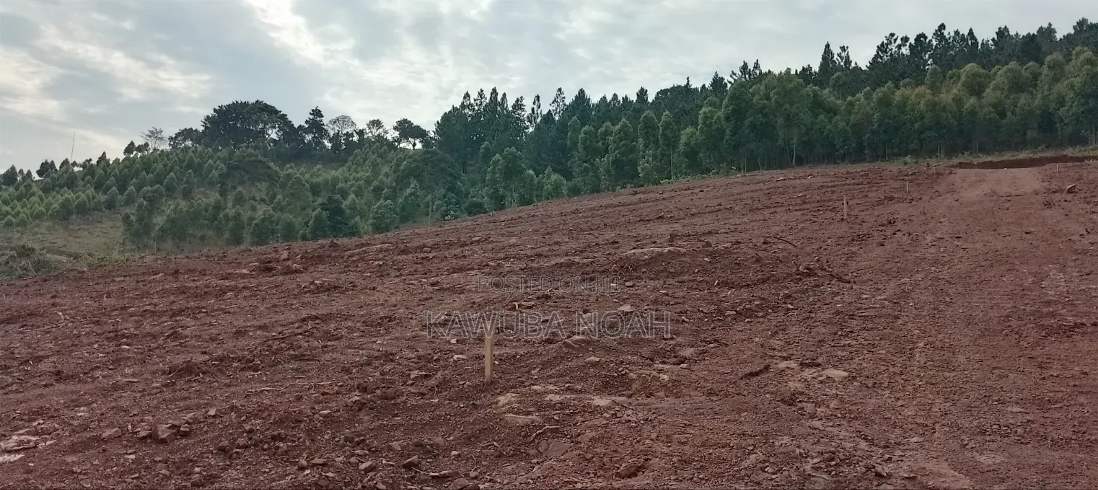 Land on Sale With Ready Land Title