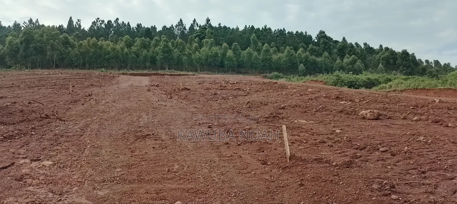 Land on Sale With Ready Land Title