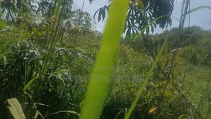 Kibanja for Sale