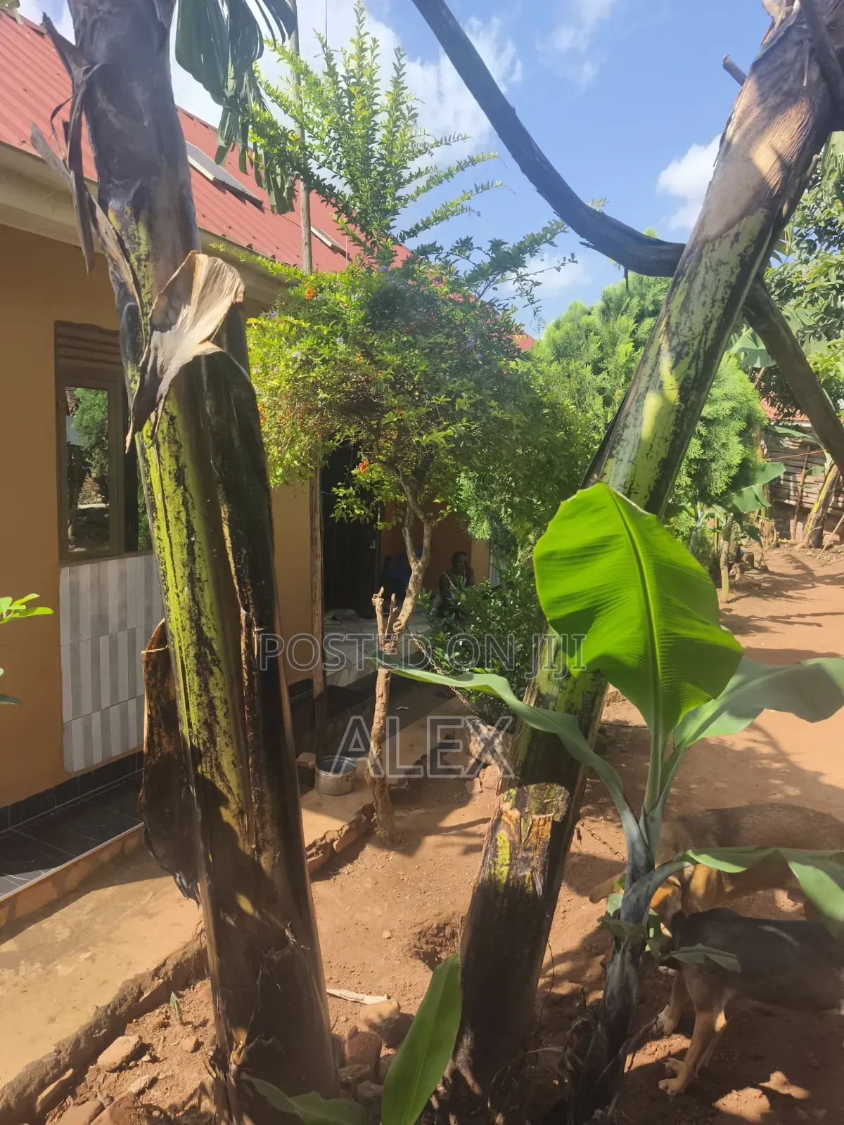 3bdrm Bungalow in Nkoowe, Wakiso / Wakiso for sale