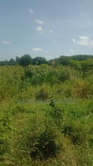 Kibanja for Sale