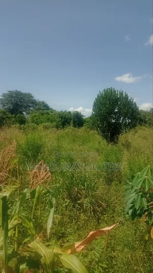 Kibanja for Sale