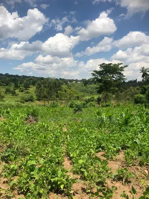 2.1 Acres Hot Deal Sale at 36m Ugx Only
