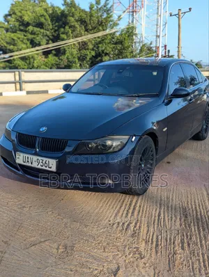 BMW 320i Sedan RWD 2009 Blue