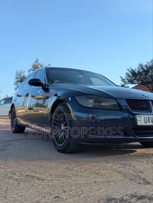 BMW 320i Sedan RWD 2009 Blue