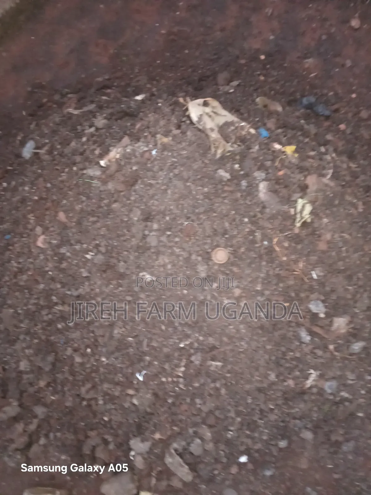 Ccicken Manure