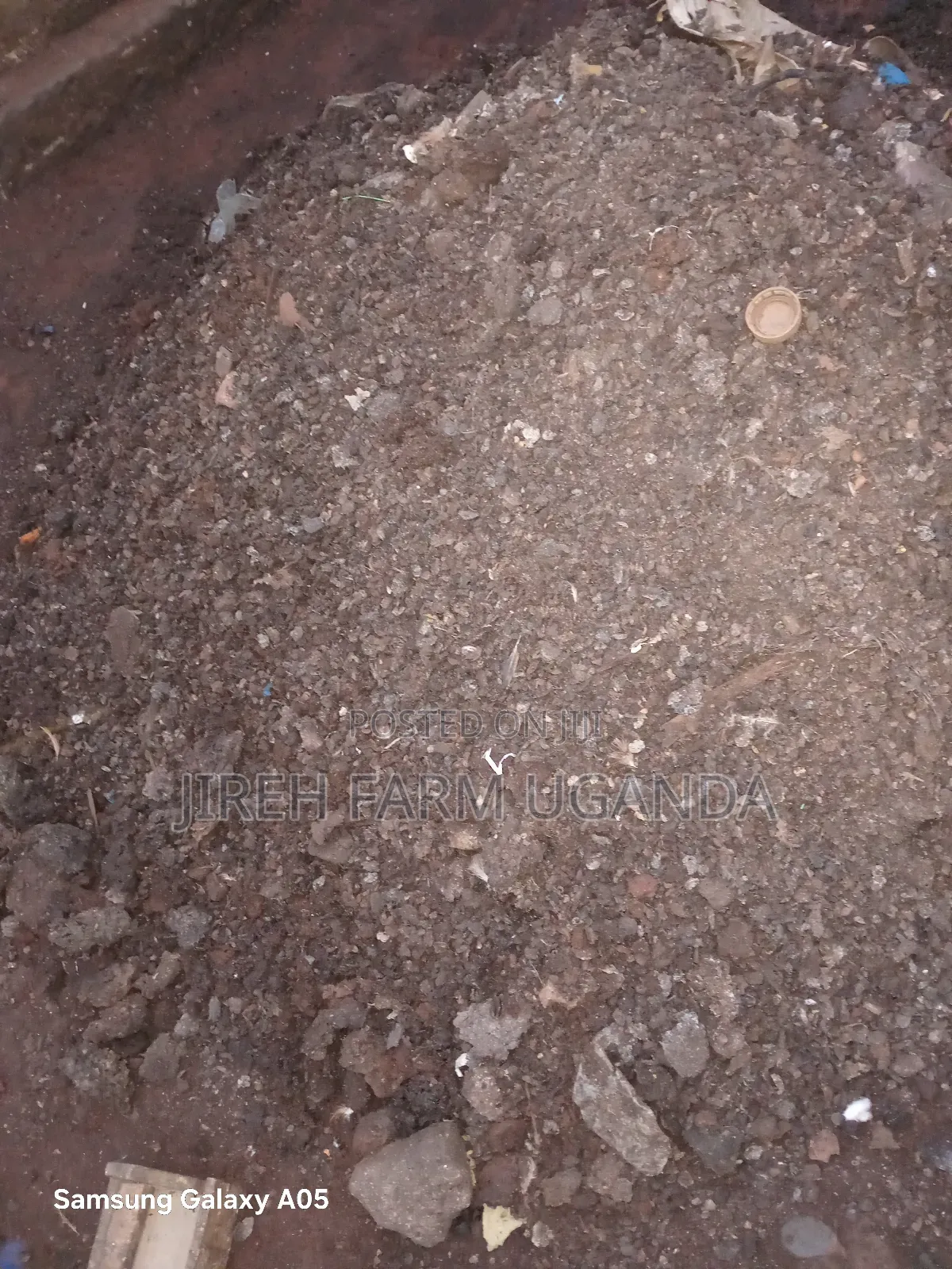 Ccicken Manure