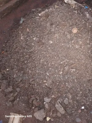 Ccicken Manure