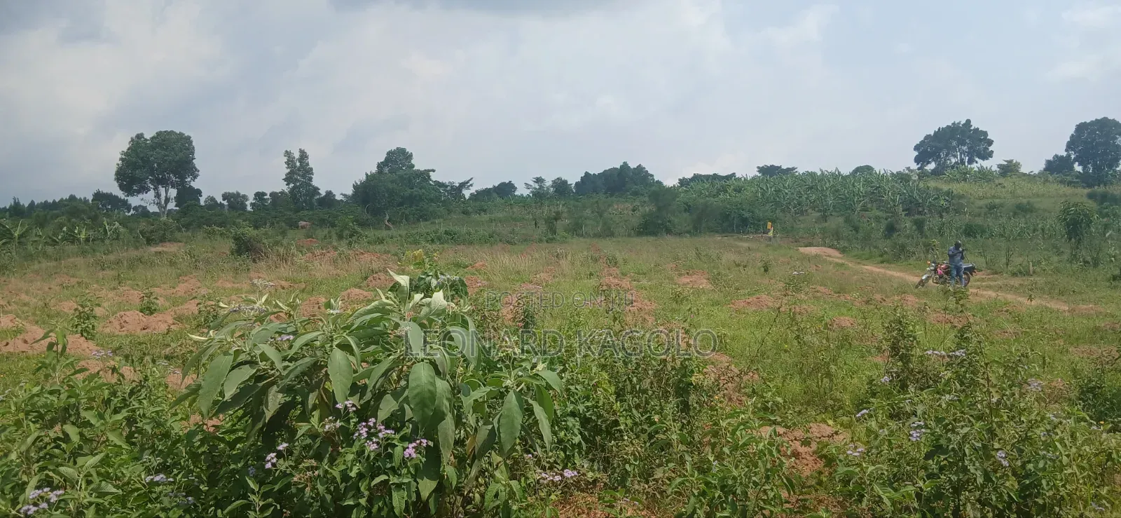 Cheap Plots For Sale At Bujuuko