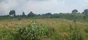 Cheap Plots For Sale At Bujuuko
