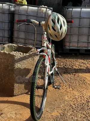 Slightly Used Stinger Bike