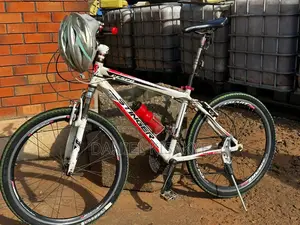 Slightly Used Stinger Bike