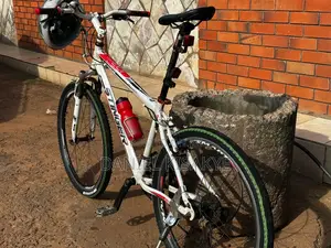 Slightly Used Stinger Bike