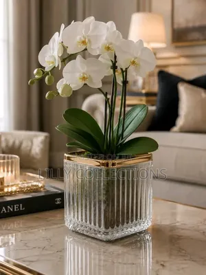Cute Storage Cups