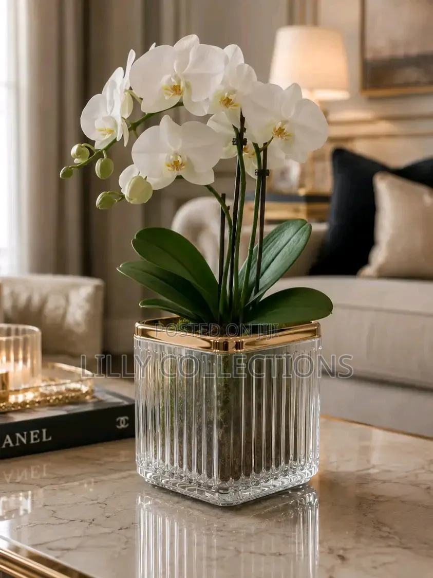 Cute Storage Cups
