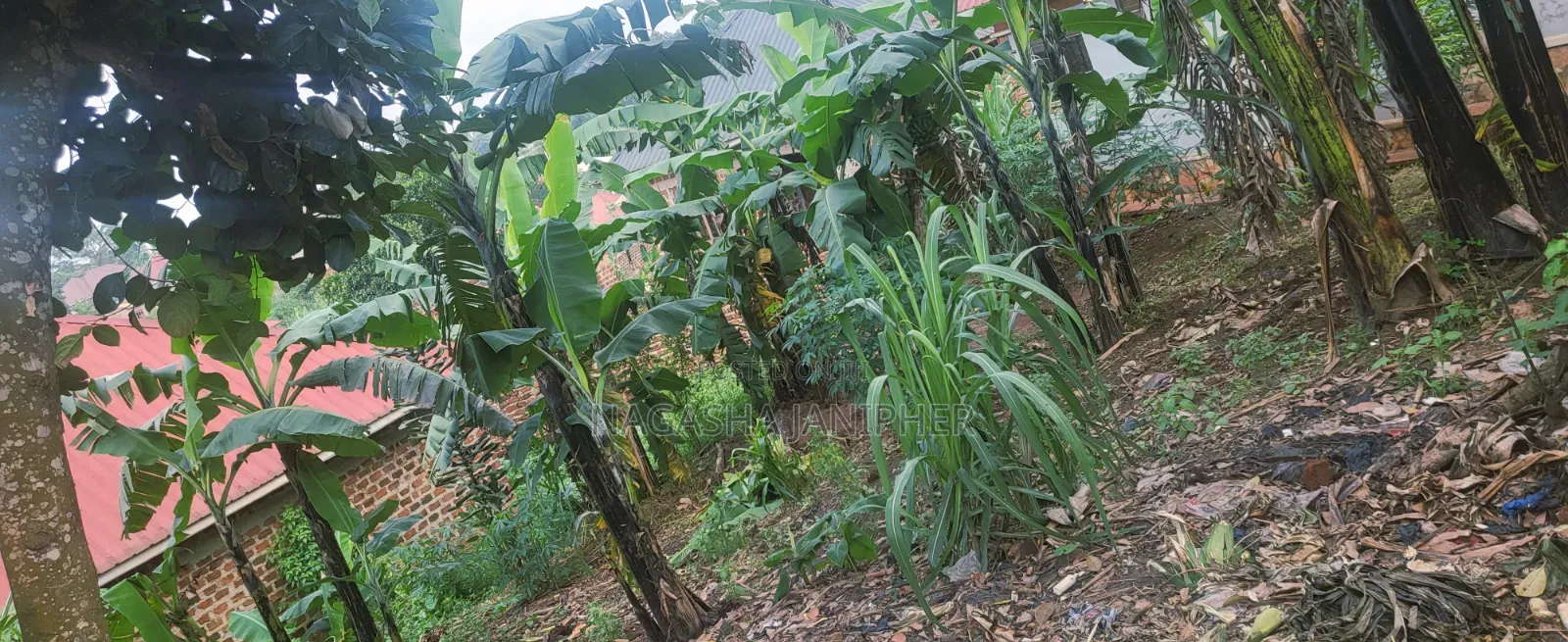 Land for Sell at Matuga 100m Off Main Road