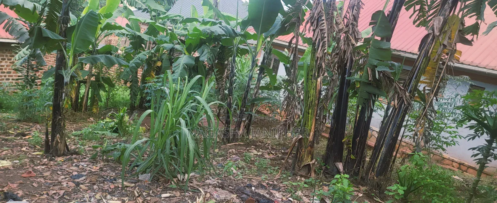 Land for Sell at Matuga 100m Off Main Road