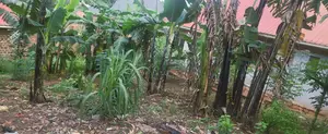 Land for Sell at Matuga 100m Off Main Road