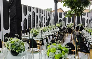 Prossy's Black and White Plus Some Olive Forest Green Introduction