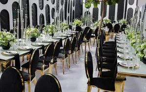 Prossy's Black and White Plus Some Olive Forest Green Introduction