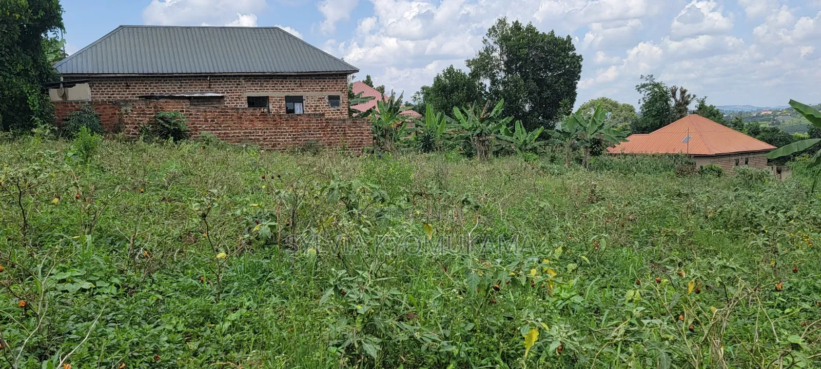Titled Plot On Quick Sale In Wakiso Kakiri Mwera