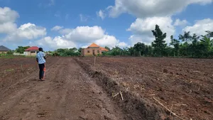 Titled Plots for Sale for Both Commercial and Residential