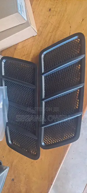 Bonnet Net/Vents for Ml350 and Gle 2012-2018 W166