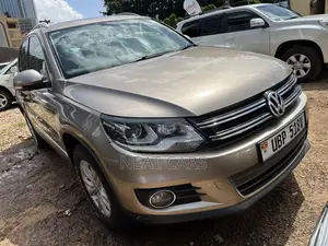 Volkswagen Tiguan 2010 Gold