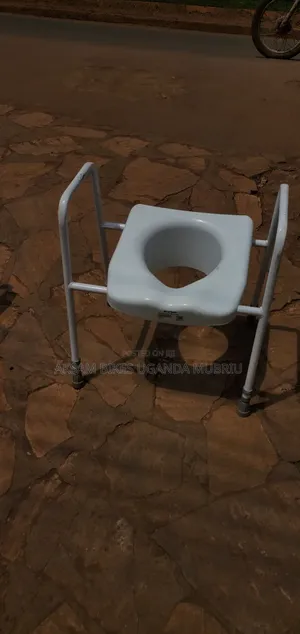 Potty Chair