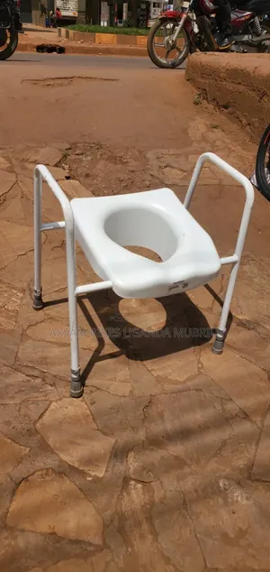 Potty Chair