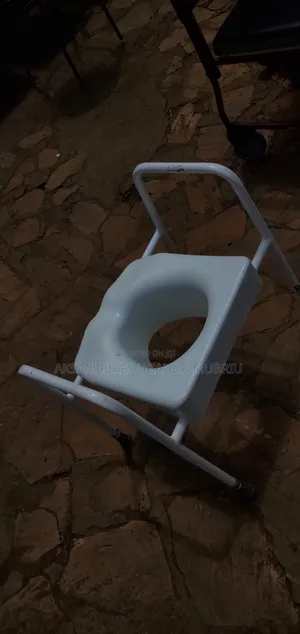 Potty Chair