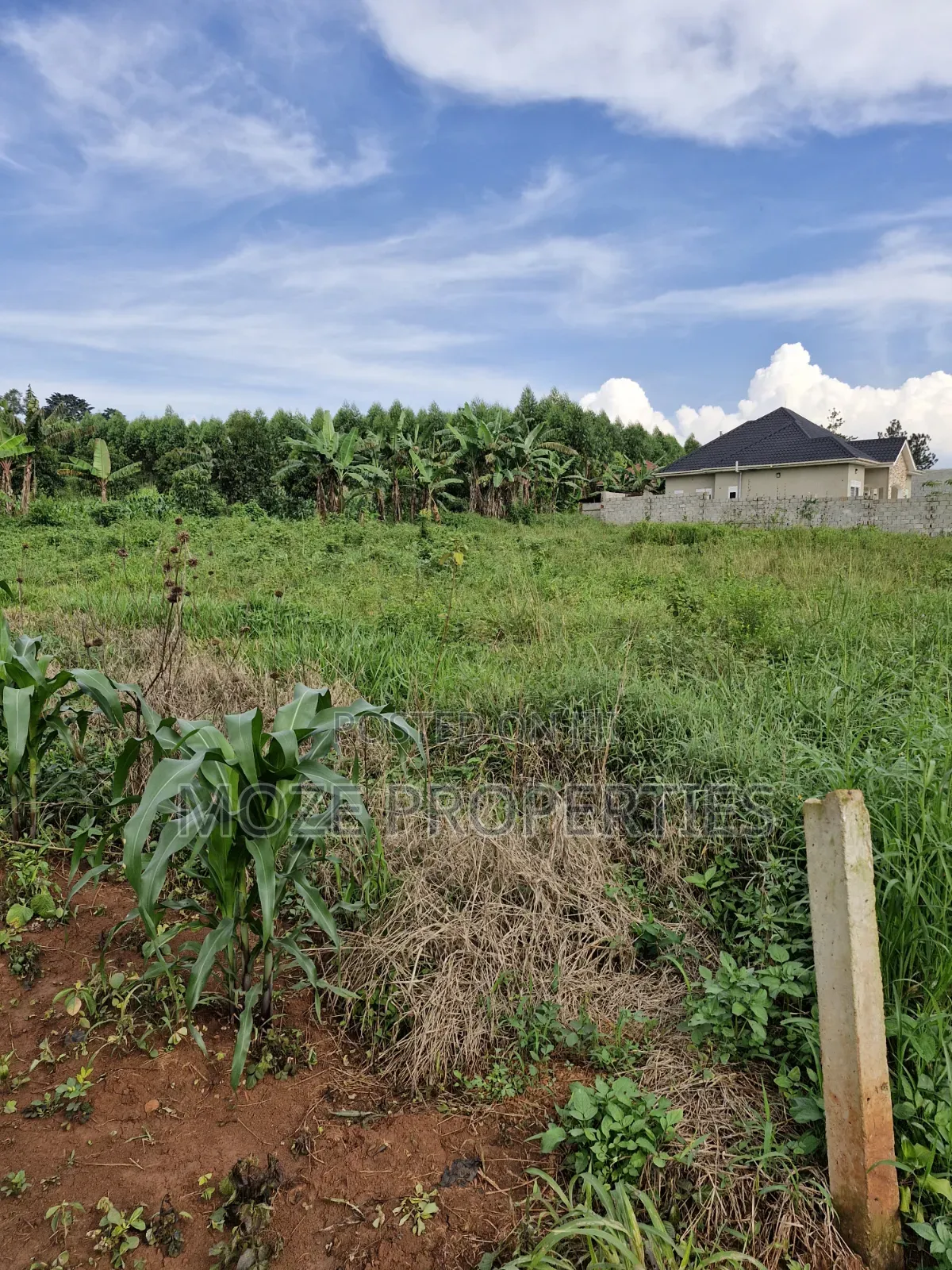 50x100 Plots for Sale in Nakasaja Gayaza.