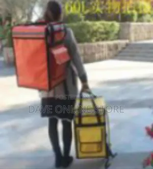 Professional Insulated Food Delivery Backpack