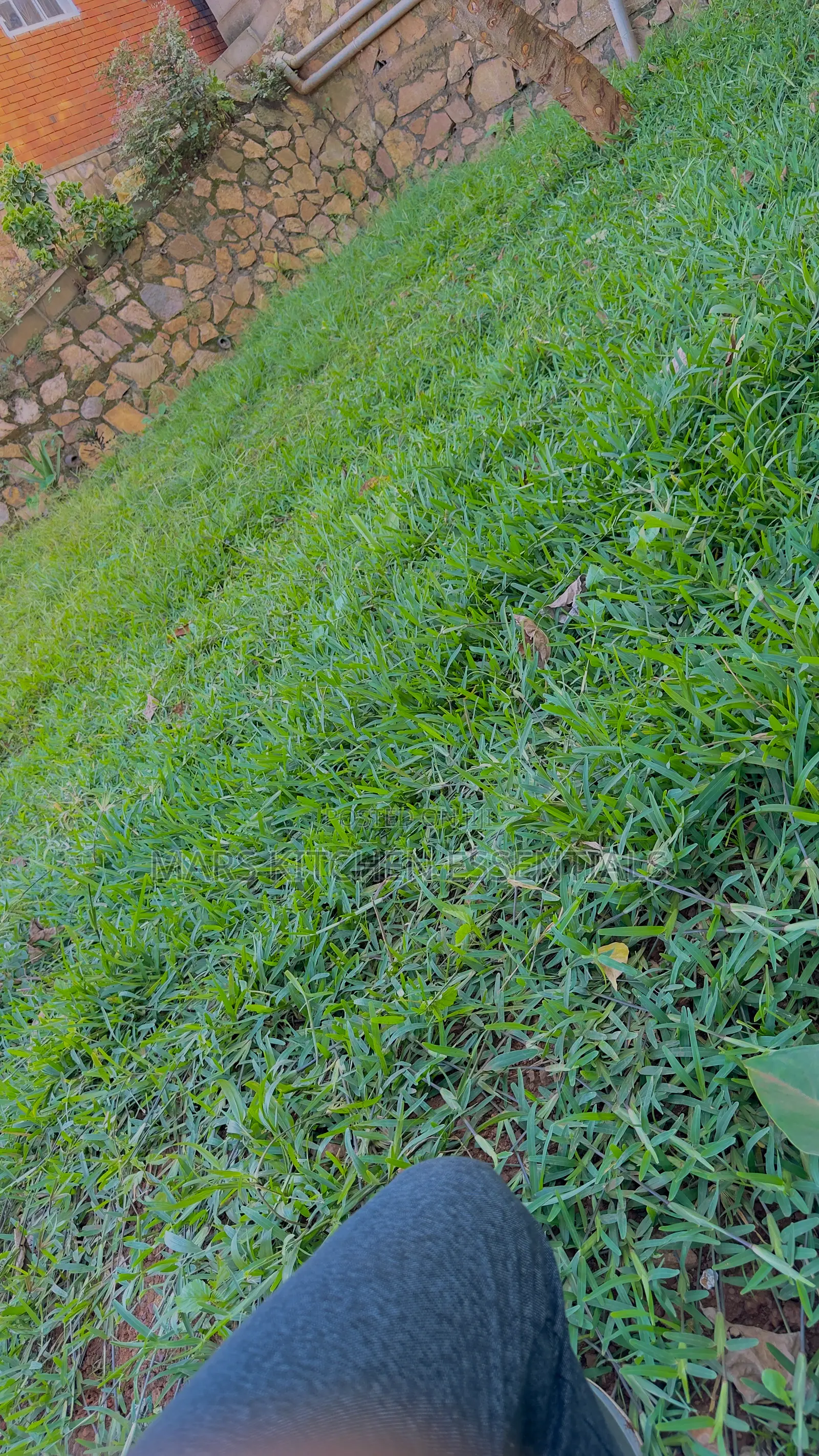 Furnished 1bdrm Apartment in Maama’S Residence, Makindye for rent