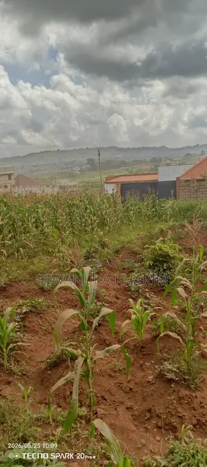 25 Decimals for Sale Located Sisa Nakawuka .