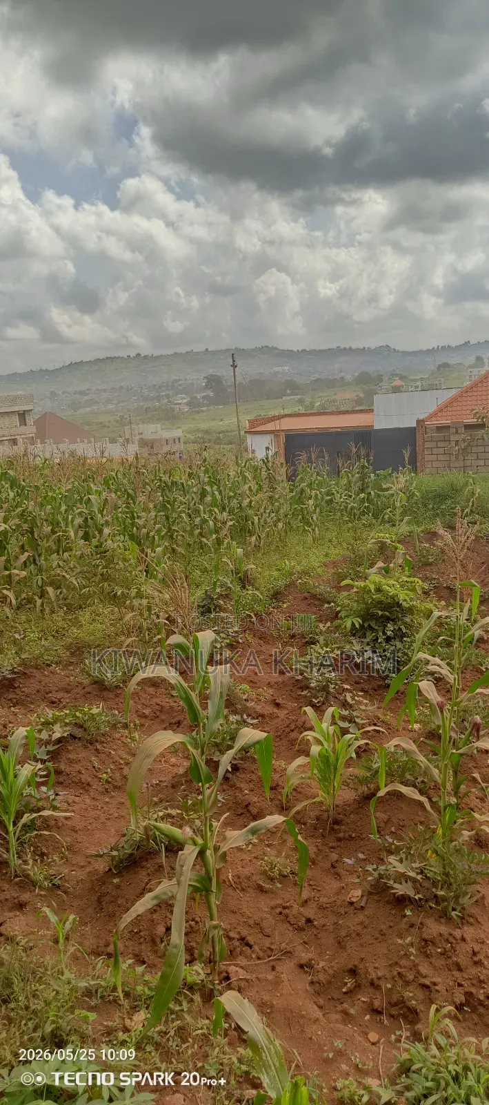 25 Decimals for Sale Located Sisa Nakawuka .