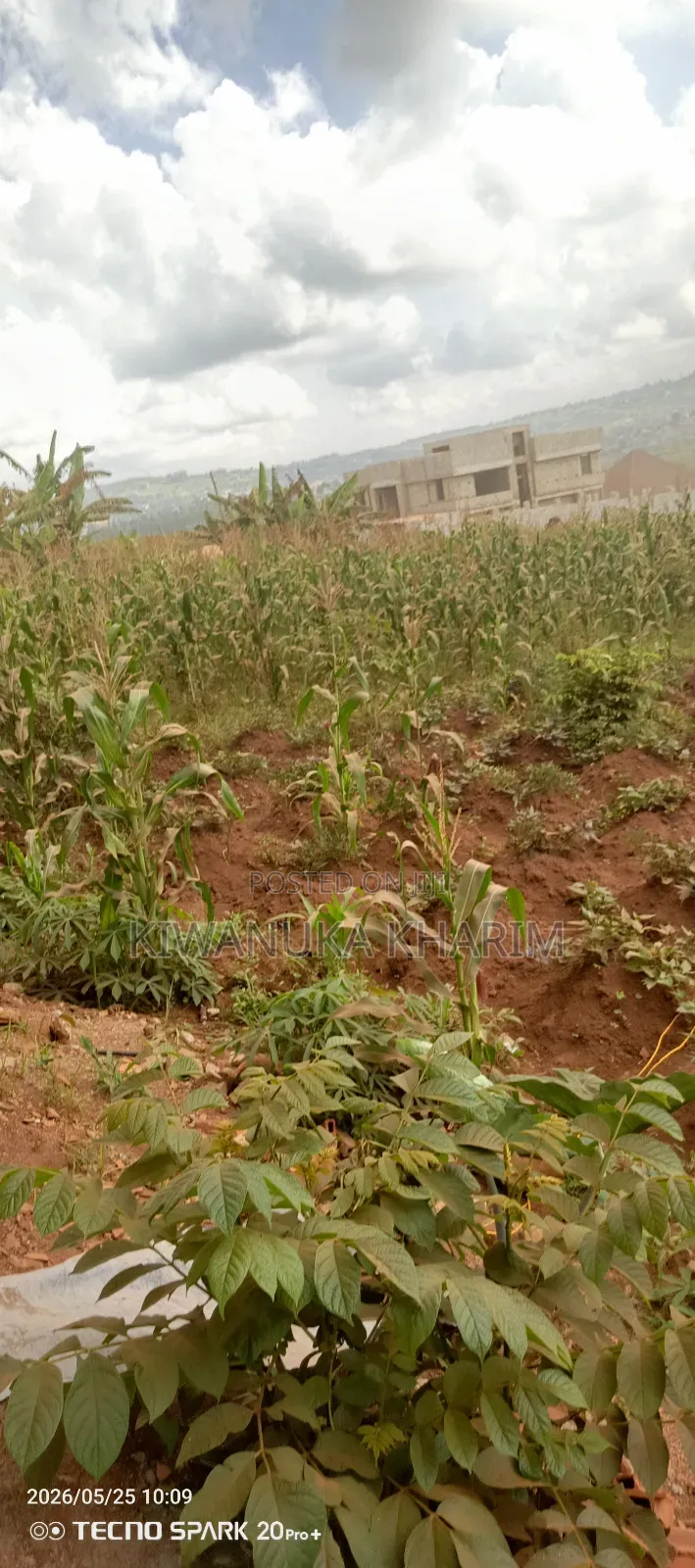 25 Decimals for Sale Located Sisa Nakawuka .