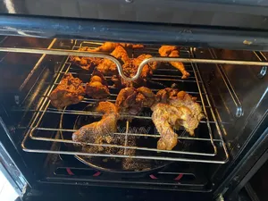 WRLL Functioning Oven